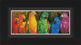 Frame with Framing Mat Board DDF23.760X295