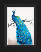 Frame with Framing Mat Board DDF16.590X835