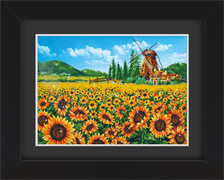 Frame with Framing Mat Board DDF16.765X550
