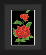 Frame with Framing Mat Board DDF21.265X405