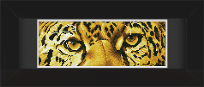 Frame with Framing Mat Board DDF24.410X145