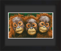 Frame with Framing Mat Board DDF21.465X265