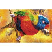DIAMOND DOTZ - Simply Dotz  Rainbow Perch - 32 x 50cm