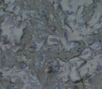 Batik - Tonal Blend - Graphite