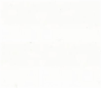Quilters Muslin - White