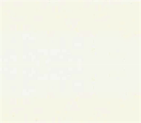 Quilters Muslin - Cream