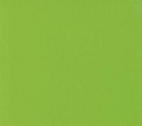 Moda - Bella Solids - Sprout 9900 267 Moda No.1