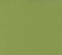 Moda - Bella Solids - Fern 9900 344 Moda No.1