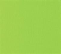 Moda - Bella Solids - Wasabi 9900 392 Moda No.1
