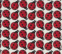 Felt Acrylic Rectangles - Printed - lady bug