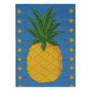 Long Stitch Kit 13 x 18cm - Pineapple