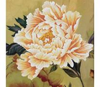 No Count Cross Stitch - Printed Aida 11 - blooming peony2 51 x 51cm