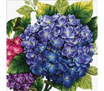No Count Cross Stitch On White Aida 14 - hydrangea 40x40cm