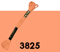 DMC Stranded Cotton 3825