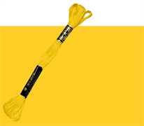 DMC Stranded Cotton 973