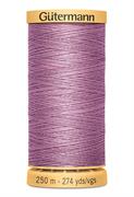 GUTERMANN - Thread Natural Cotton 250M - 3526