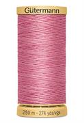 GUTERMANN - Thread Natural Cotton 250M - 5110