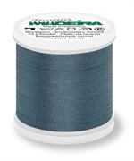 Rayon 40 200M Machine Embroidery Thread - 1160