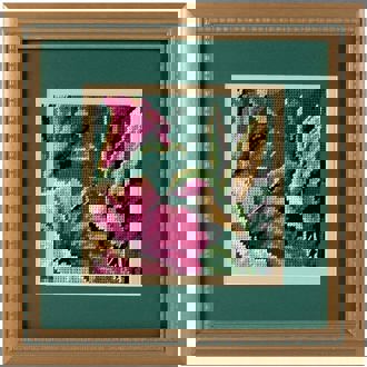 Dimensions Needlecraft - HUMMINGBIRD DRAMA             