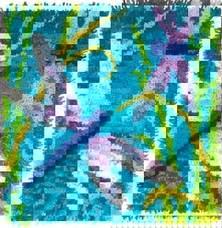 Dragonflies Latch Hook