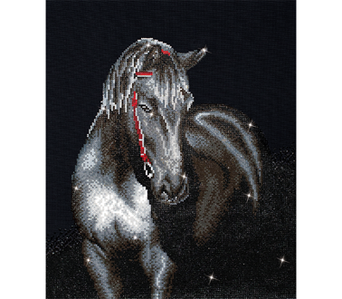 Diamond Dotz - Midnight Stallion - 42 x 53cm (16.5 x 20.9in)