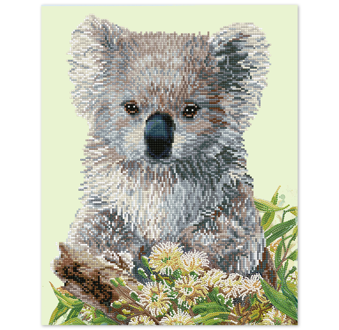 Koala And Eucalyptus Blossom - 51 x 41cm