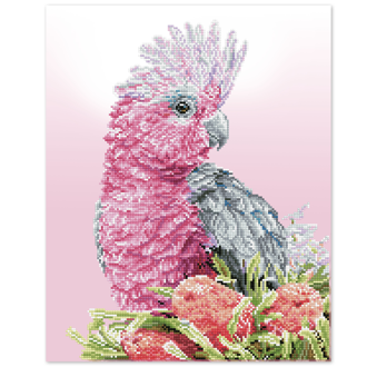 Pink Galah And Banksia - 51 x 41cm