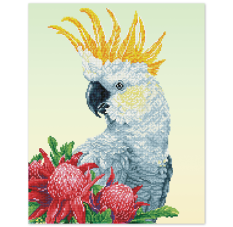 White Cockatoo And Waratahs - 51 x 41cm