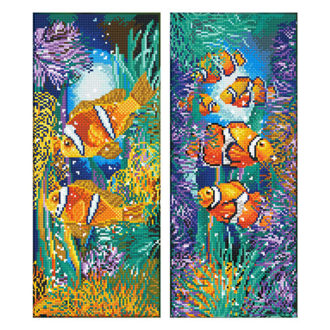 Aquarium - 52 x 51cm