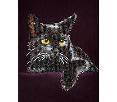 Midnight Cat - 27.9 x 35.5cm (11 x 14in)