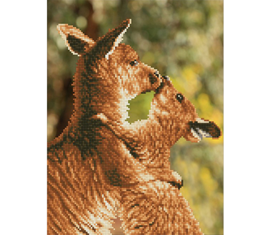 DIAMOND DOTZ - Kissing Kangas - 31 x 41cm