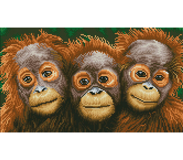 DIAMOND DOTZ - Oranging Around - 47 x 27cm (21.7 x 13.8in)