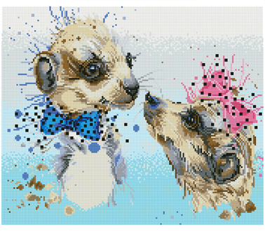 DIAMOND DOTZ - Meerly Love - 50 x 42cm (19.7 x 16.5in)