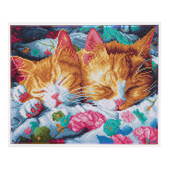 Kitty Kip - 35 x 45cm 