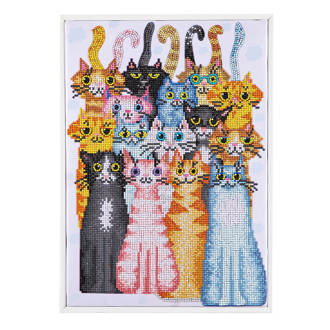 Cats Meow - 45 x 32cm