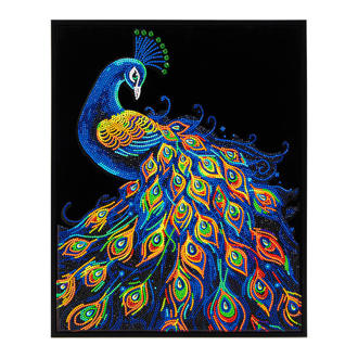 Neon Peacock - 35.5 x 45.7cm