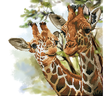 DIAMOND DOTZ - Tall & Tender - 40 x 40cm (15.7 x 15.7 in)