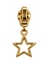 Zipper Pull Star Gold