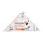 Star And Geese Patchwork Ruler