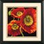RED POPPY TRIO                