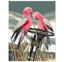 FIONA JUDE - Country Thread Cross Stitchperching pair galahs  34 cms x 44 cms