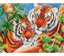 Tender Tigers - 52 x 37cm (20.5 x 14.5in)