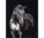 Midnight Stallion - 42 x 53cm (16.5 x 20.9in)