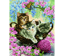 Kitty Knits - 48 x 58cm (18.9  x 22.8 )