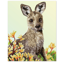 Kangaroo And Kangaroo Paw Flower - 51 x 41cm