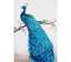 Blue Peacock - 60 x 84cm (23.6 x 33.1in)