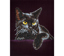 Midnight Cat - 27.9 x 35.5cm (11 x 14in)