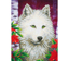 White Wolf - 35.5 x 45.72cm (14 x 18in)