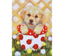 Pup In Pot - 30 x 42cm (11.8 x 16.5in)
