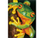 Green Tree Frog - 27 x 37cm (10.6 x 14.6in)